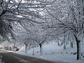 Neve (24)